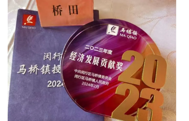 Perfect Finish | Qiantian  Intelligence Receives 2023 Economic Development Contribution Award from Marqiao Township